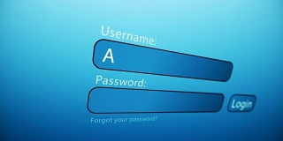在网页上输入用户名和密码。关闭web页面的登录空表单，输入用户名和密码。