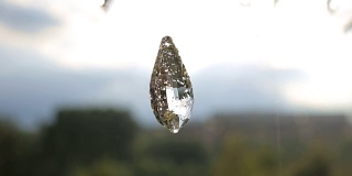 特写的水晶与水滴。