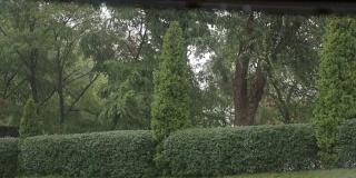 公园里有大雨和大风。