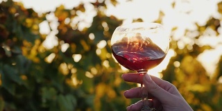 日落时分品酒。在葡萄园的背景下，手拿一杯红酒