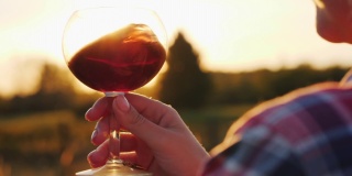 阳光照射在一杯红酒里。那只手拿着一只以葡萄园和夕阳为背景的玻璃杯