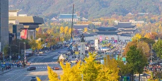 韩国首尔庆福宫的秋天。时间流逝