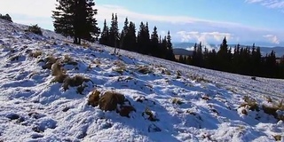 个人视角在雪山远足，徒步者行走。雪的冬天的风景。