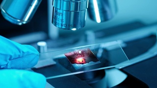 科学家正在生物实验室中使用显微镜视频素材模板下载