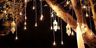 装饰仿古爱迪生风格的灯丝灯泡挂在树林里，玻璃灯笼，夜间装饰花园的灯，魔幻森林里，灯泡和辉光挂在森林的树上