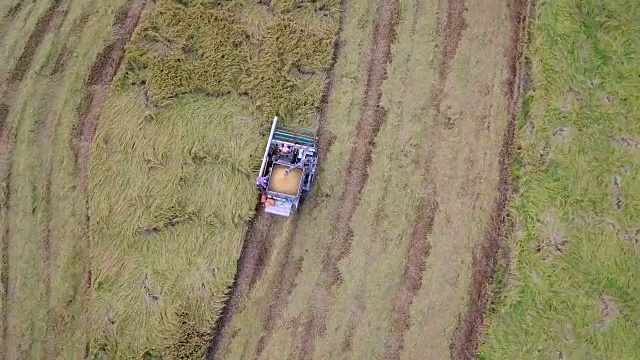 航拍图拖拉机在收获的田地在泰国