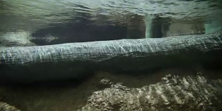河床下的岩石清澈的淡水