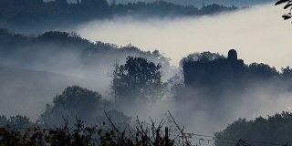 波尔多葡萄园在秋天的霜冻和雾气下，时光流逝
