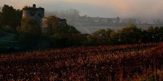 秋天的波尔多葡萄园下着霜和雾，时光流逝，兰戈兰城堡