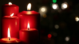 圣诞红烛装饰庆祝视频素材模板下载
