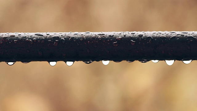 秋雨与温暖的颜色特写稳定的镜头