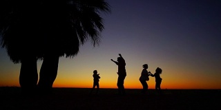 一个四口之家在沙滩上的棕榈树下跳舞。美丽的热带日落。slown运动