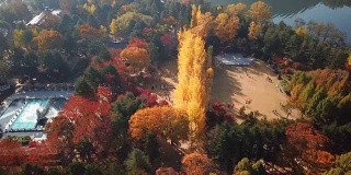 韩国奈美岛秋季鸟瞰图