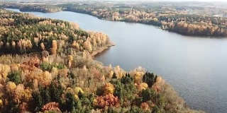 鸟瞰图秋季混交林周围的河流或湖泊。