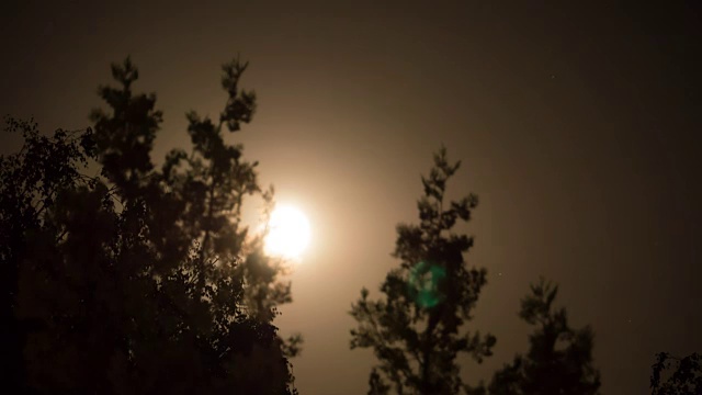 满月在夜空中穿过乌云和树木。间隔拍摄