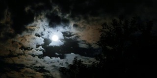 满月在夜空中穿过乌云和树木。间隔拍摄