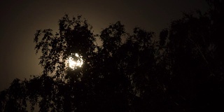 满月在夜空中穿过乌云和树木。间隔拍摄