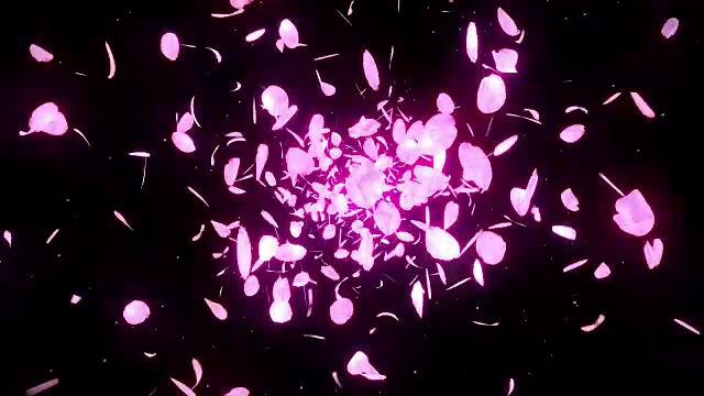 樱花花瓣落在黑色背景，循环闪烁动画，