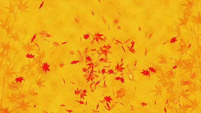 秋叶落在金色的背景上，枫叶，环闪动画，