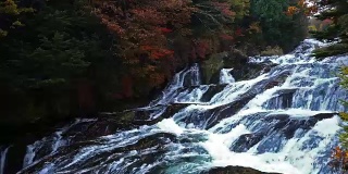 龙珠瀑布的两侧是许多树，这些树在秋叶季节变成黄色和红色，日光，日本。