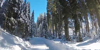 在一个阳光明媚的日子里，行驶在雪地里的单行道上
