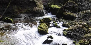 瓦克莱拉瀑布沿着坦纳溪，博纳维尔，俄勒冈州波特兰市