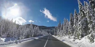 冬天，在一个阳光明媚的日子里，在一条空旷的道路上，沿着白雪覆盖的森林行驶