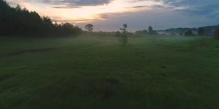 在晨雾中，低角飞过绿草。