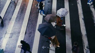 台北台湾-行人过马路在雨天视频素材模板下载