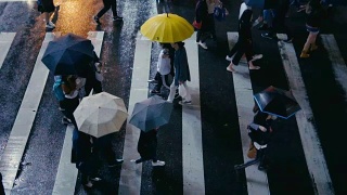 台北台湾-行人过马路在雨天视频素材模板下载