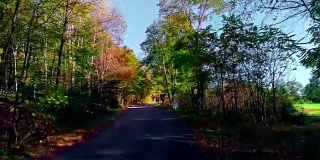 无人机低空视频。在树叶茂盛的秋天，沿着乡间小路穿过森林。科勒,宾夕法尼亚州,美国