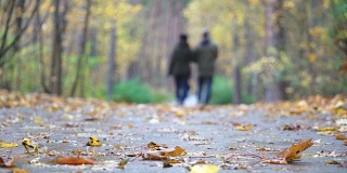 自然秋天走了。人们在秋天的公园森林里散步。幸福家脚踩在秋叶上。秋天的城市森林公园，落在地上的枫叶。健康生活方式和家庭关系的概念。秋天的森林里，树叶飘落。五颜六色的
