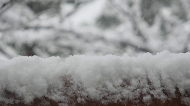 落在篱笆上的雪