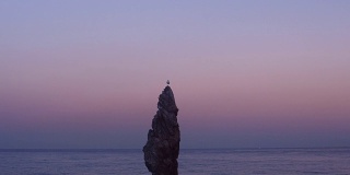 海鸥一只脚站在Chooam烛台岩石在晚上