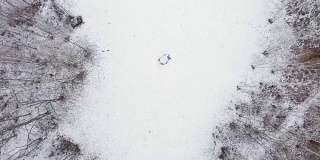 人们玩环罗茜在冬天的树林雪。空中无人机飞行在户外山林中玩耍的家庭。笔直的perspective.Togetherness。4k俯视图视频