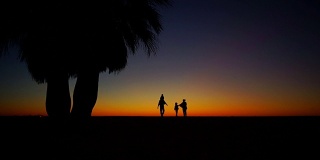 海滩上可爱的一家人。缤纷的夕阳，奢华的棕榈树
