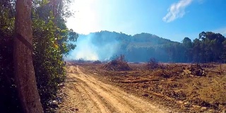森林火灾，雨林砍伐和烟雾