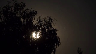 满月在夜空中穿过乌云和树木。间隔拍摄视频素材模板下载