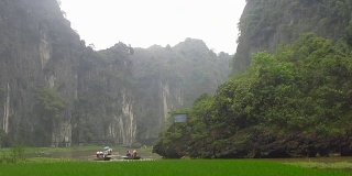 在Tam Coc的稻田间划船