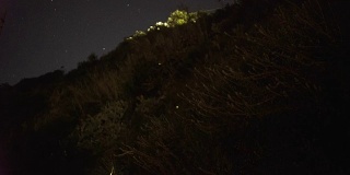灌木丛中的萤火虫，神奇的大自然的观察，夜晚时光的延时