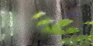 温泉花园，抽象背景的细雨在窗口