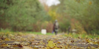 成熟的秋天走了。人们在秋天的公园里散步。渔夫垂钓归来。人的脚踩在秋叶上。秋天的城市森林公园，落在地上的枫叶。健康lifstyle概念。五颜六色的树叶的树