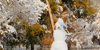 在阳光下融化雪人