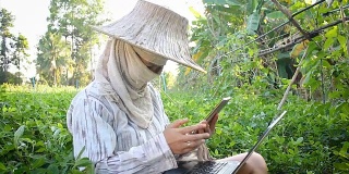 4K Farmer使用智能手机和笔记本电脑进行视频会议和聊天，社交媒体技术概念