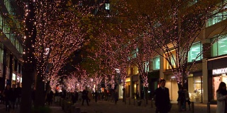 日本丸之内的冬季照明