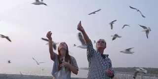 亚洲老人和女儿喂海鸥手