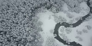 4 k。在云雾之上飞行，在冰冻的森林中狂野蜿蜒的河流。北方多雪的冬天。航拍全景