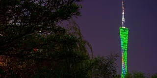 夜广州广州塔顶公园树木全景4k时间中国