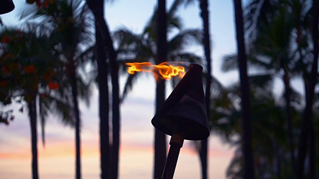 夏威夷火奴鲁鲁的威基基海滩，Tiki Torch Flames