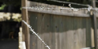 铁丝网上的蜘蛛网